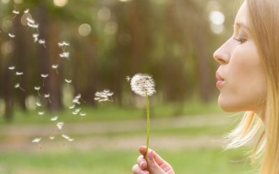 Les secrets cachés de votre intestin: le troisième cerveau et votre bien-être